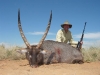 william-isch-safari-031