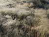 Harry-Claasen-Safaris-Scenery2