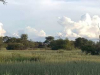 Harry-Claasen-Safaris-Scenery3