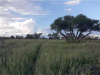 Harry-Claasen-Safaris-Scenery4