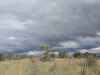 Harry-Claasen-Safaris-Scenery6